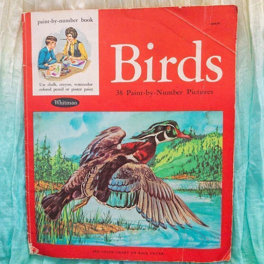 Vintage Birds Paint By Number Art Activity Book Whitman 1961